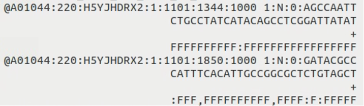 FASTQ File Example