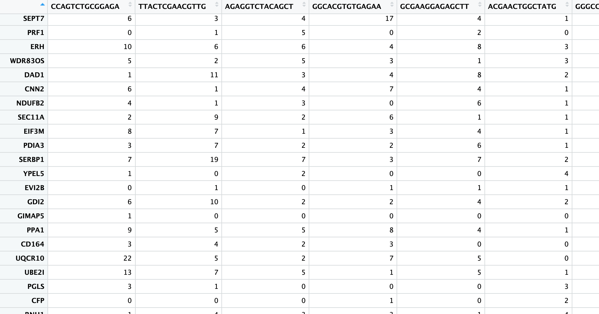 Gene Count Matrix