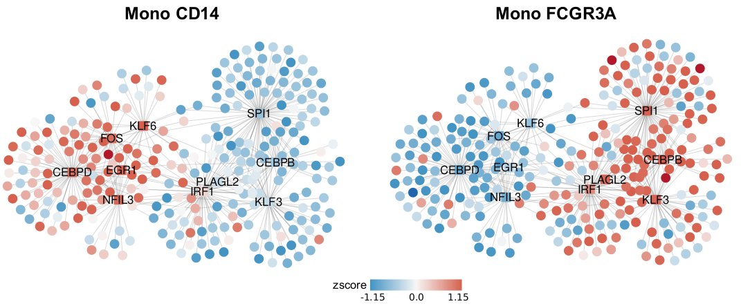 Gene Regulatory Networks