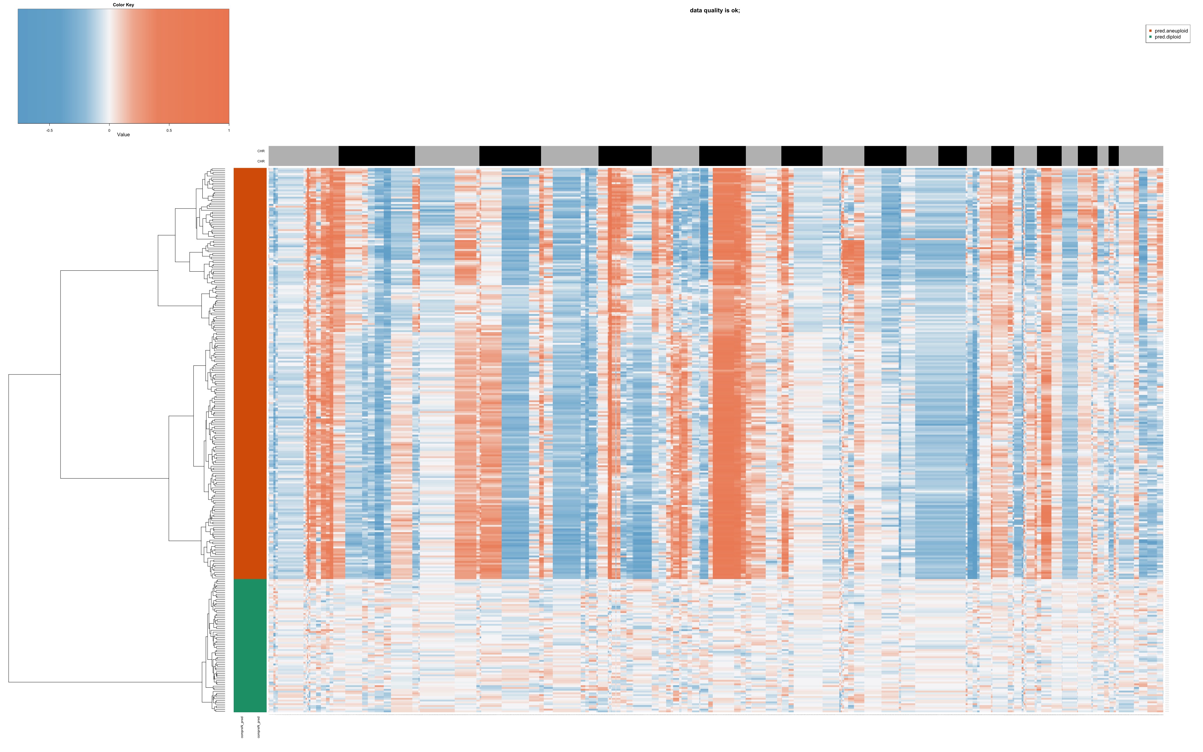 CopyKat Heatmap